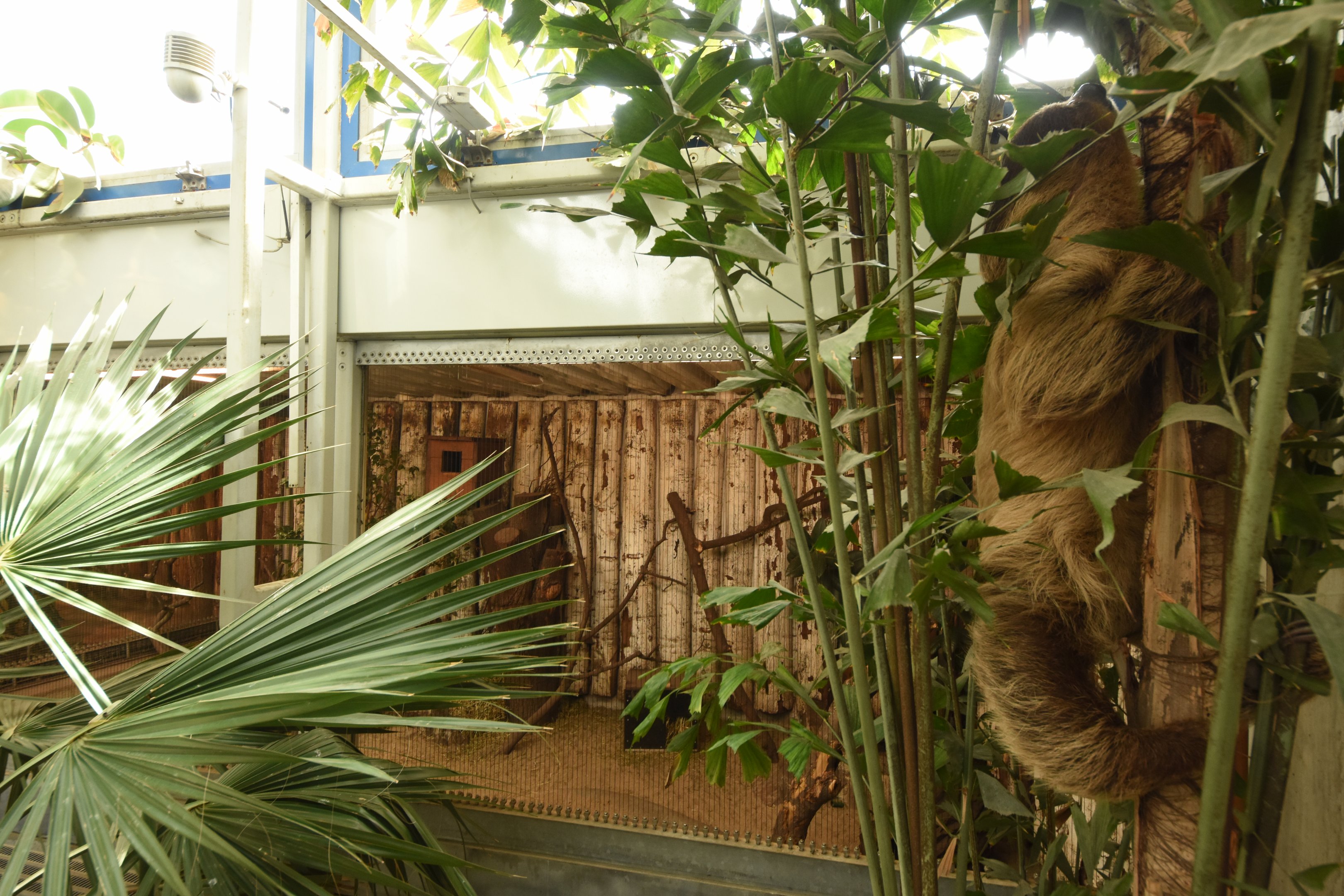 Tropical house - Armadillo