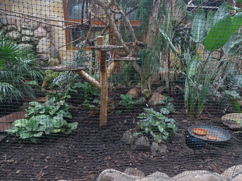 Tropical house (Asian tropical bird enclosure)