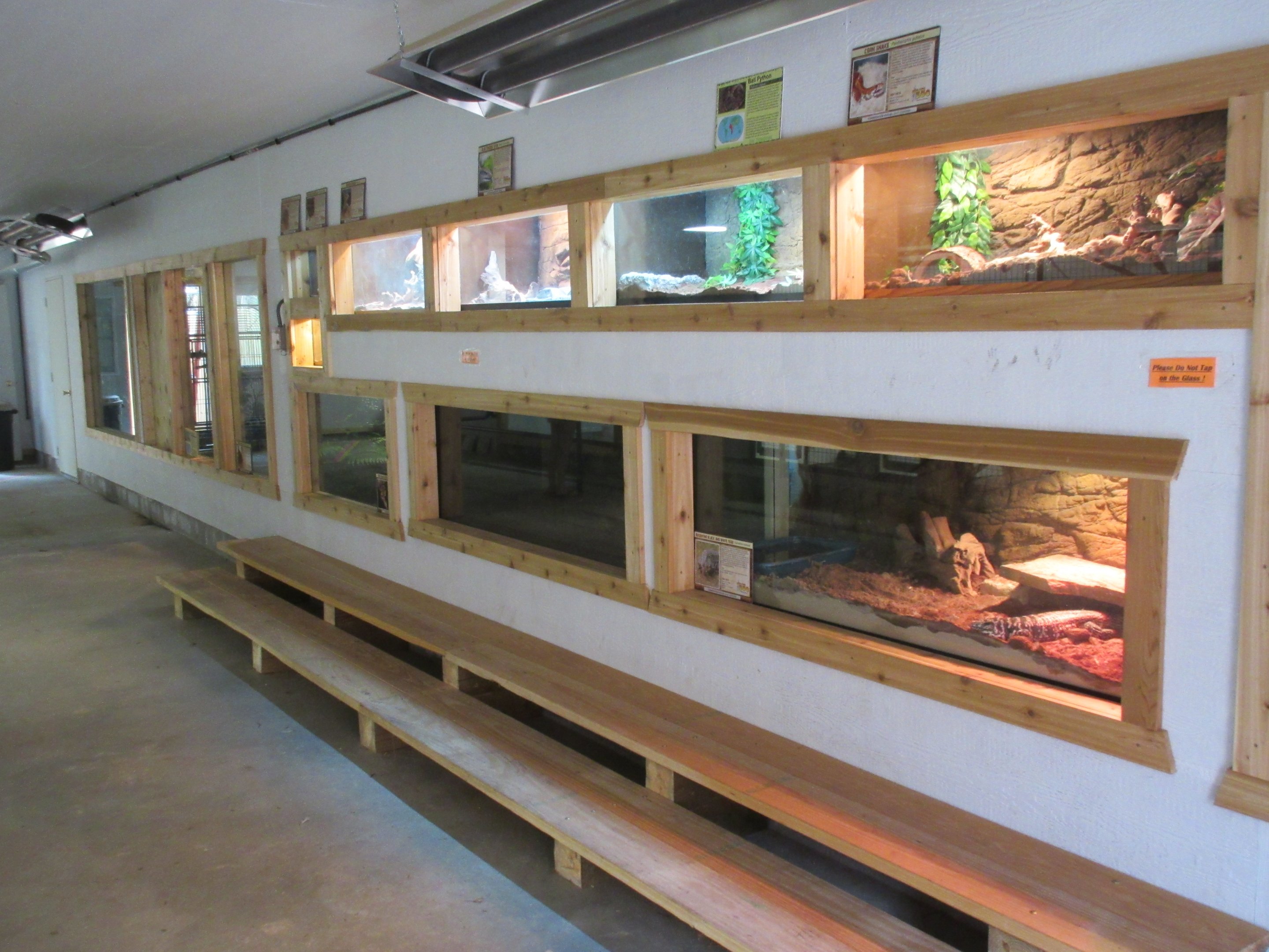 Tropical House - Assorted Terrariums