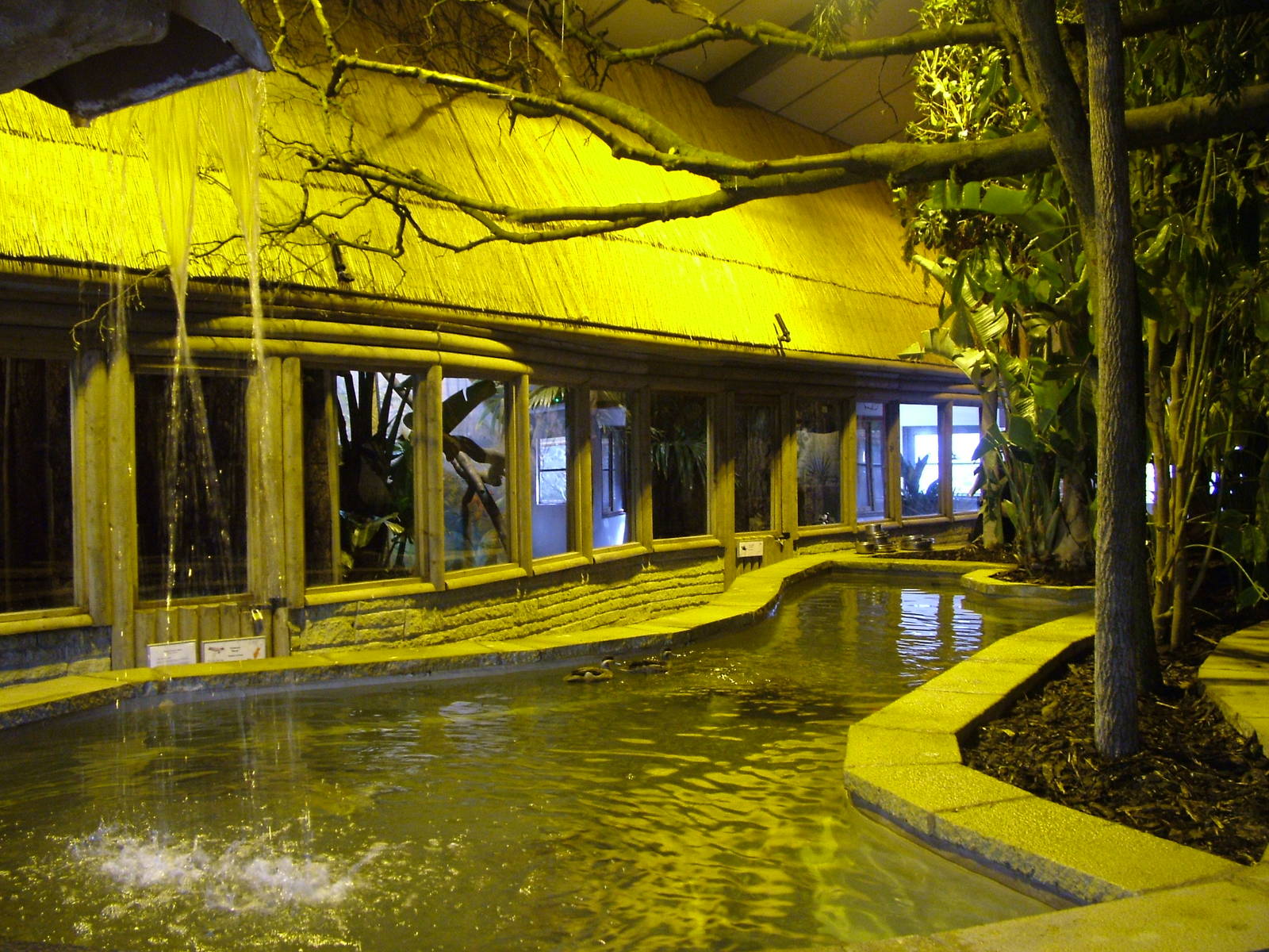 Tropical House at Blackbrook 03/04/10