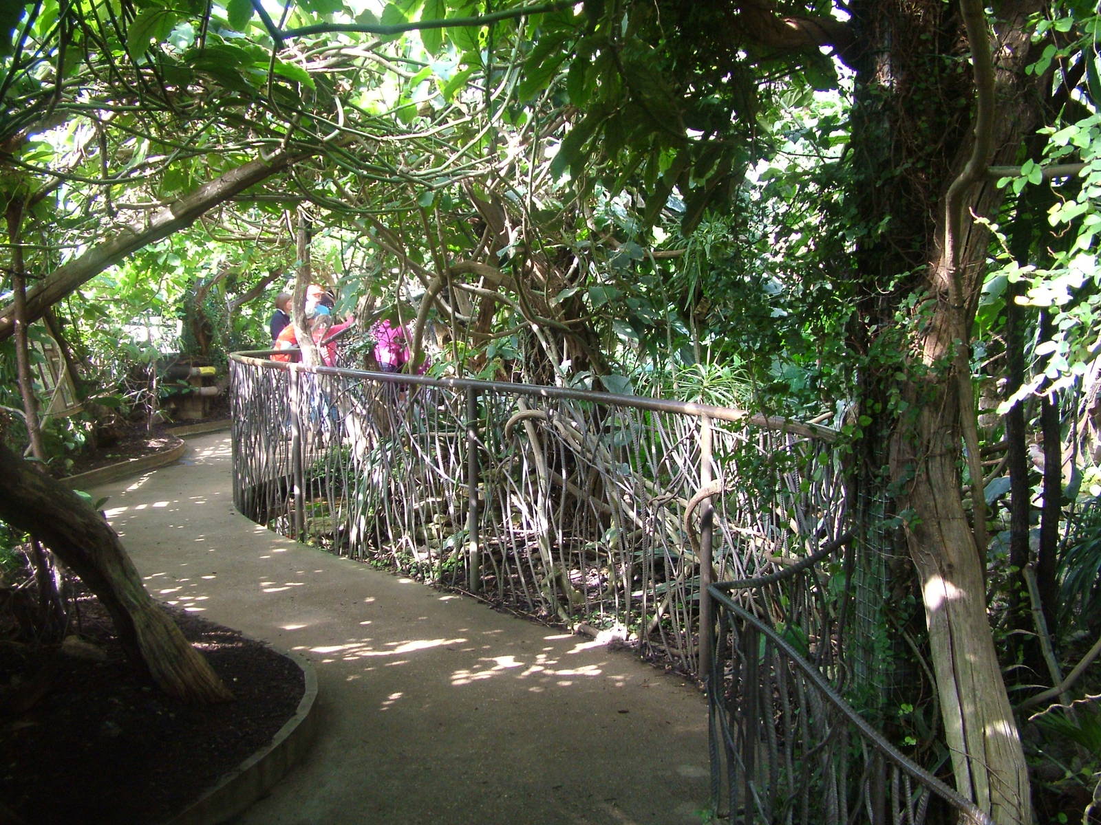 Tropical House at Cotswold WP 17/04/10