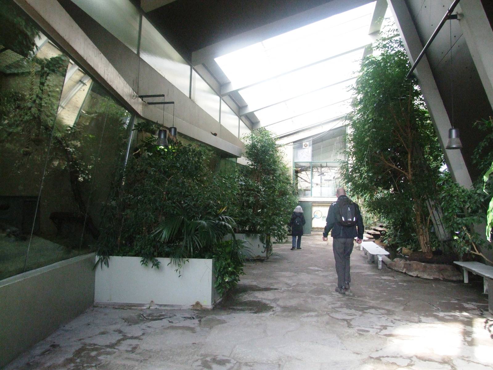 Tropical House at Hannover, 23/03/13