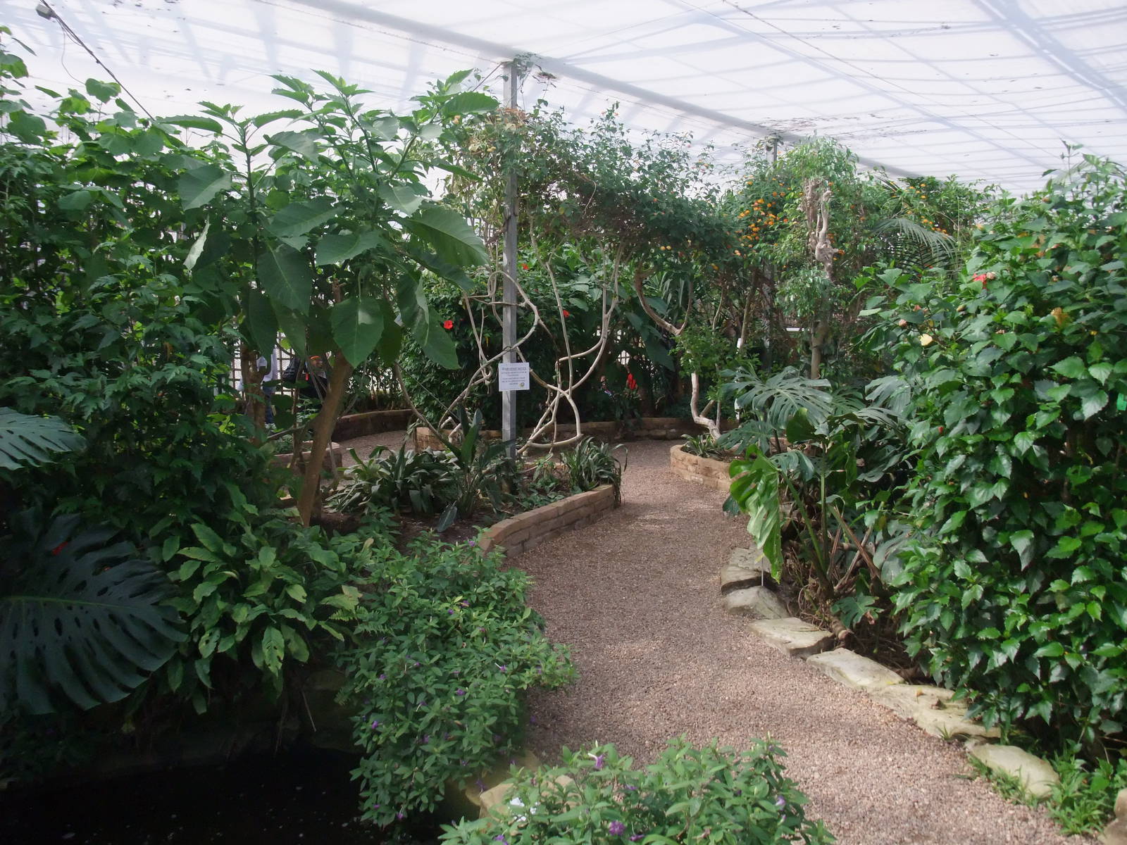 Tropical House at Long Sutton 25/04/11