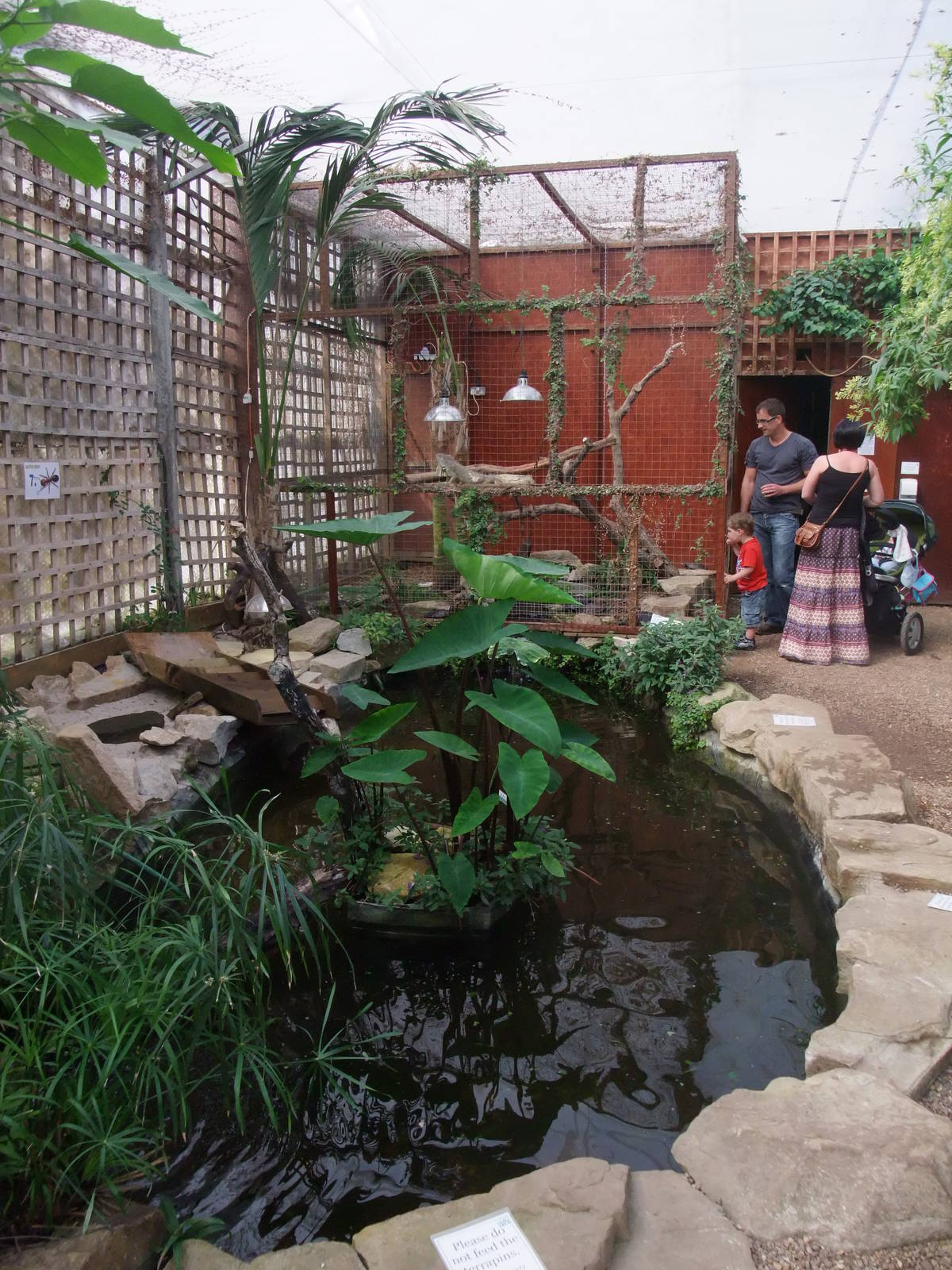 Tropical House at Long Sutton 25/04/11