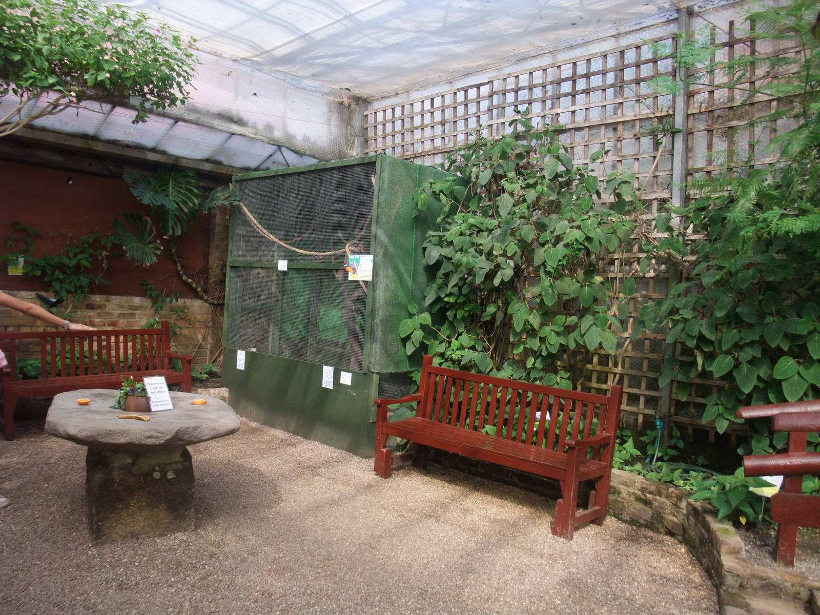 Tropical House at Long Sutton 25/04/11