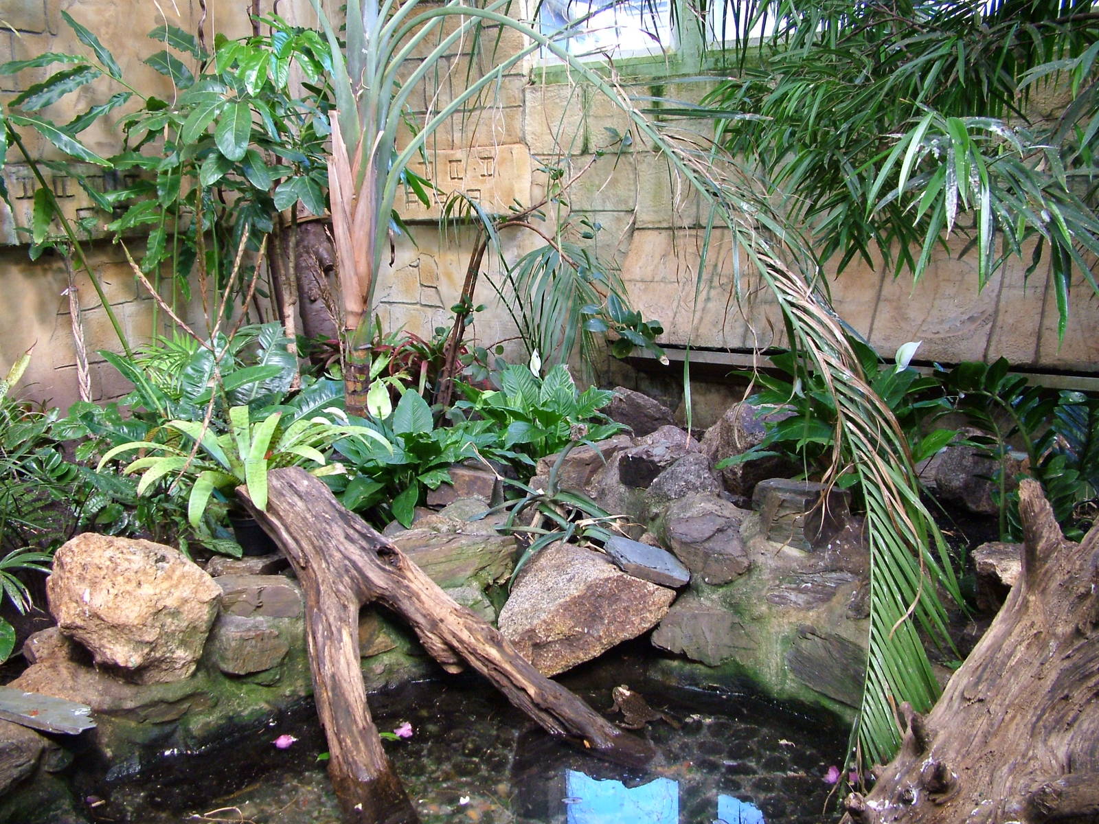 Tropical House at Newquay Zoo 11/04/09