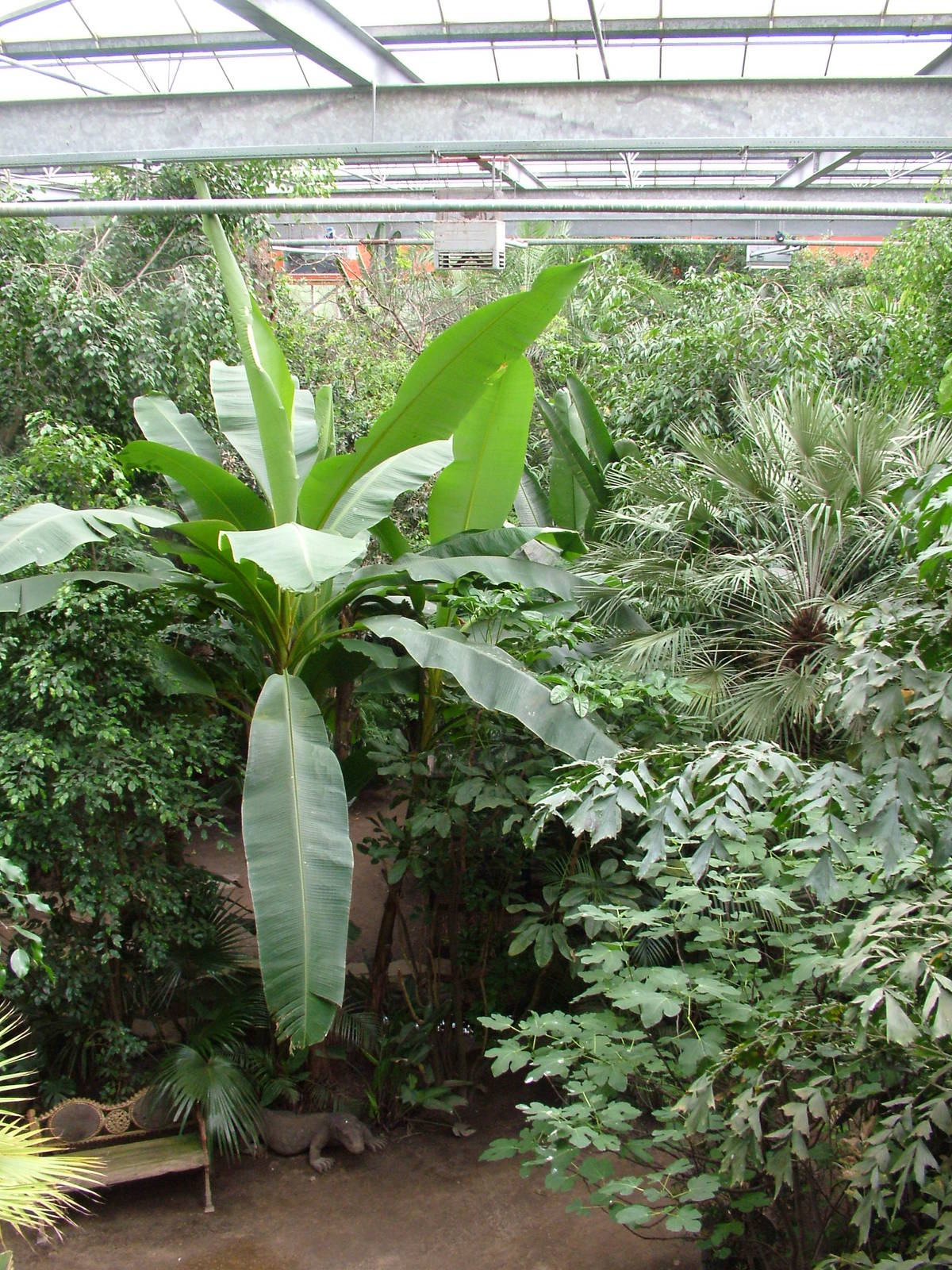 Tropical House at NOP, Veldhoven 16/05/09