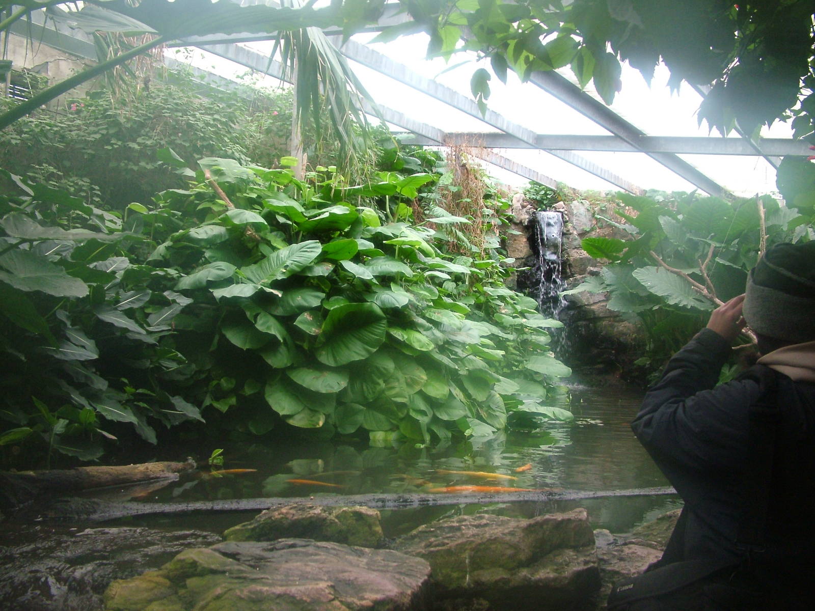 Tropical House at Slimbridge 06/02/10