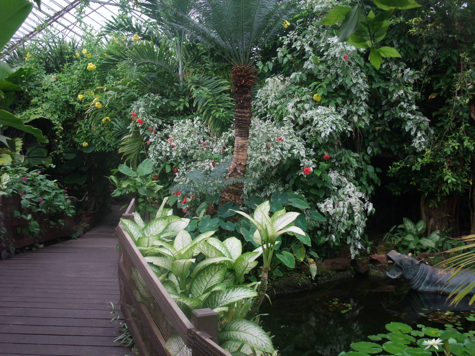 Tropical House at the Palms: Final Visit, 08/08/10