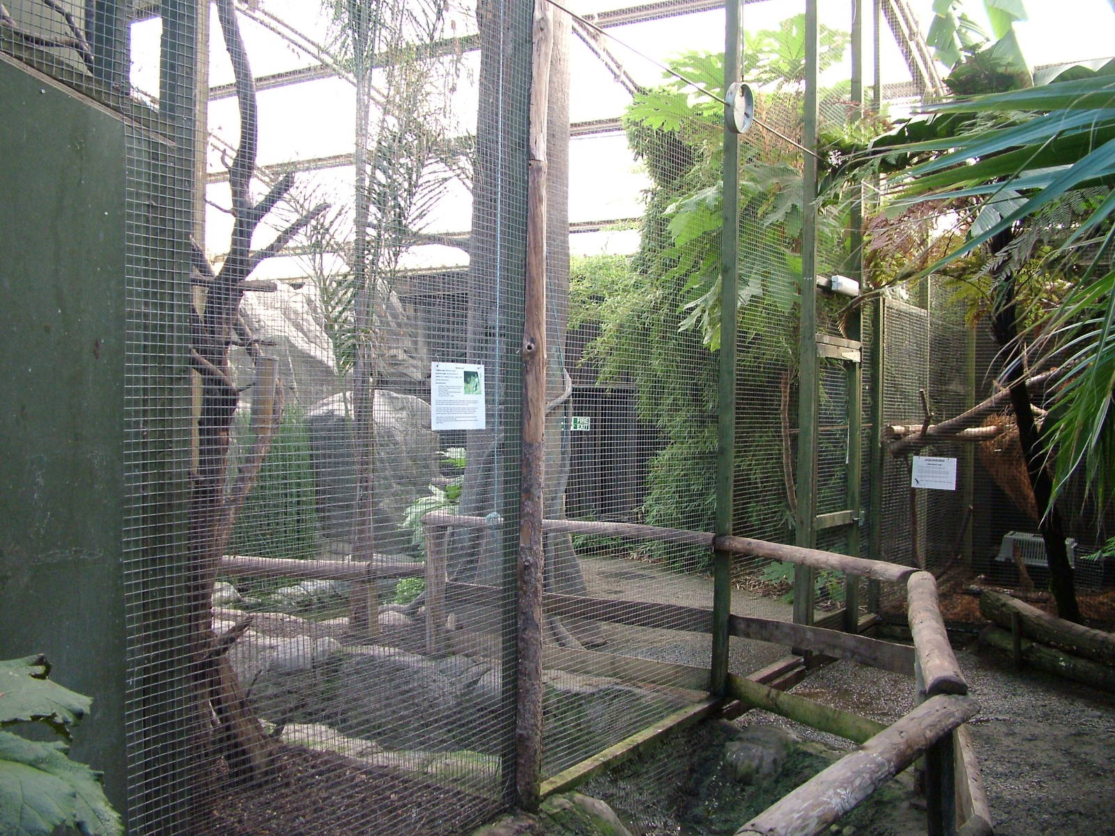 Tropical House at the RSCC 28/11/09