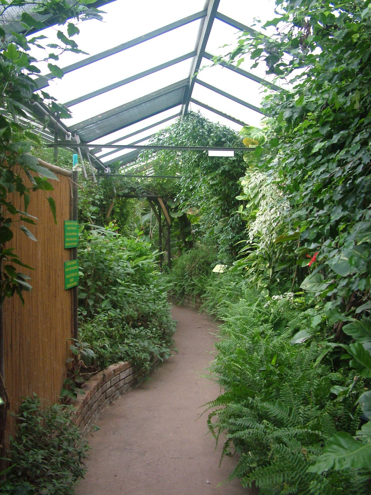 Tropical House at Tropical Wings 29/11/09