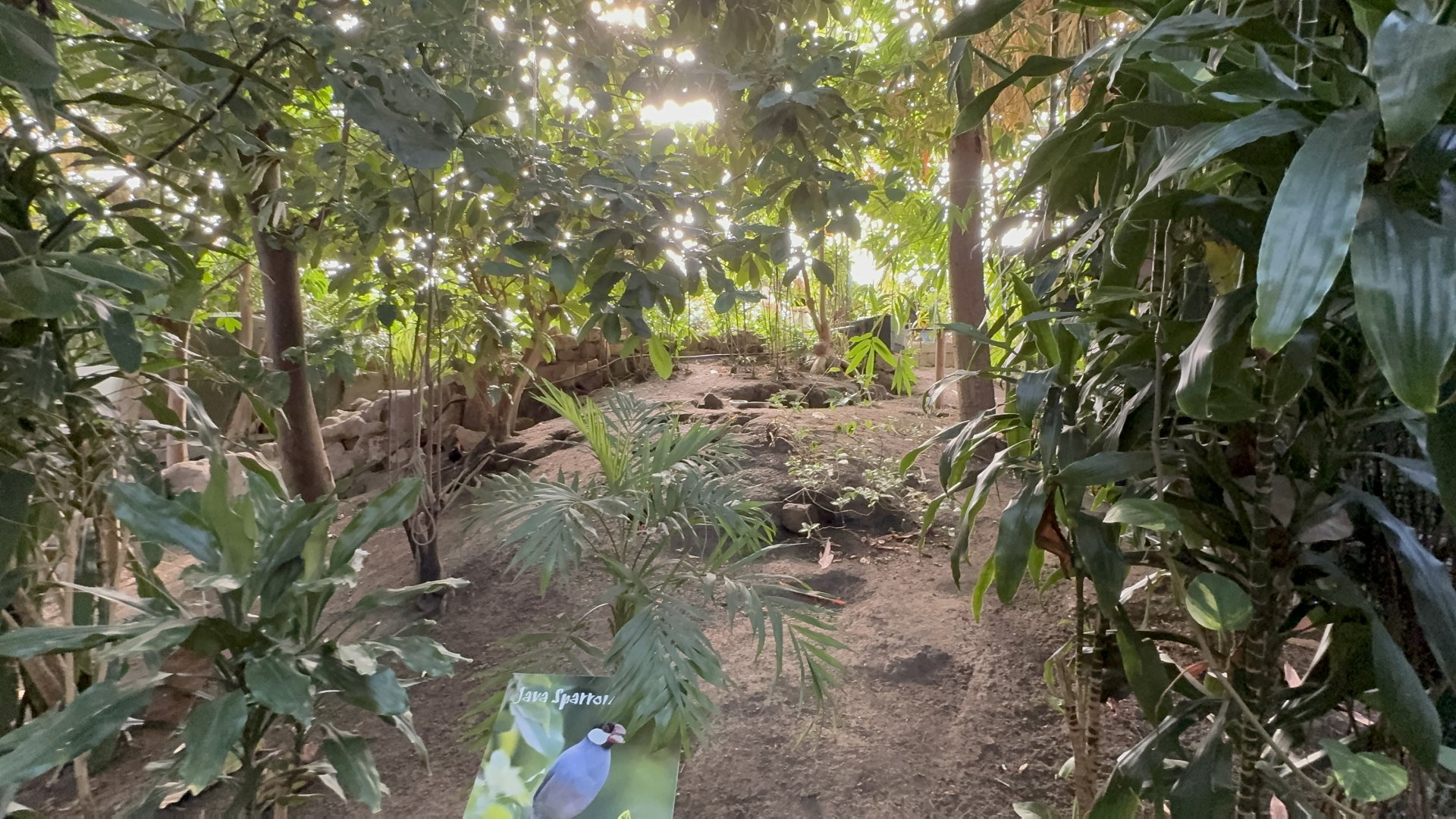 Tropical House at Tropical World (October 2024)