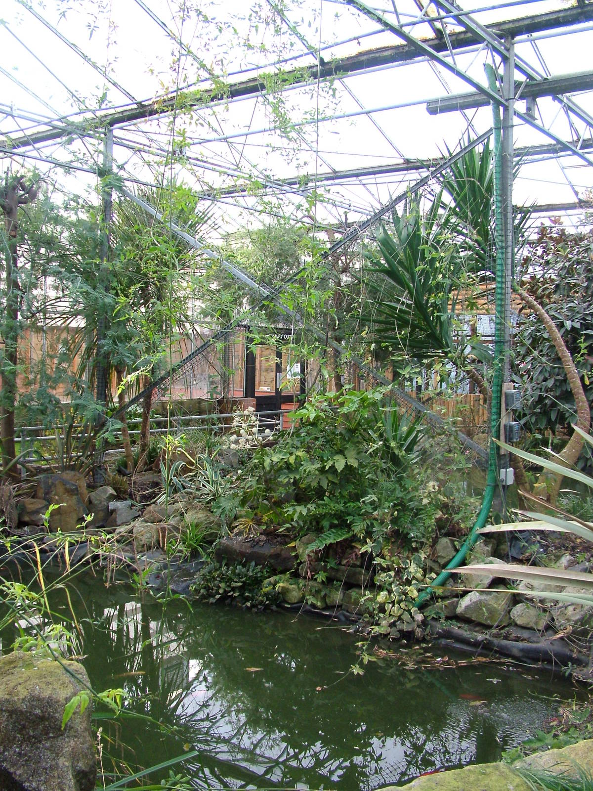 Tropical House at Wingham 28/11/09