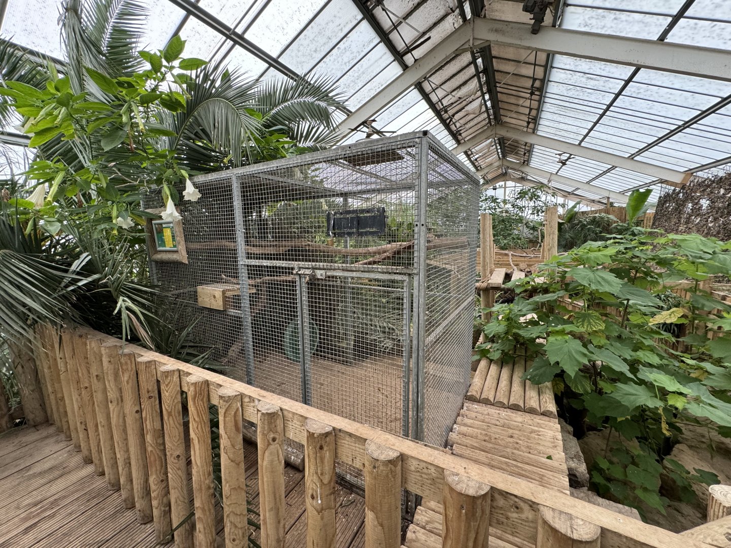 Tropical House at Woodside Wildlife Park (May 2024)