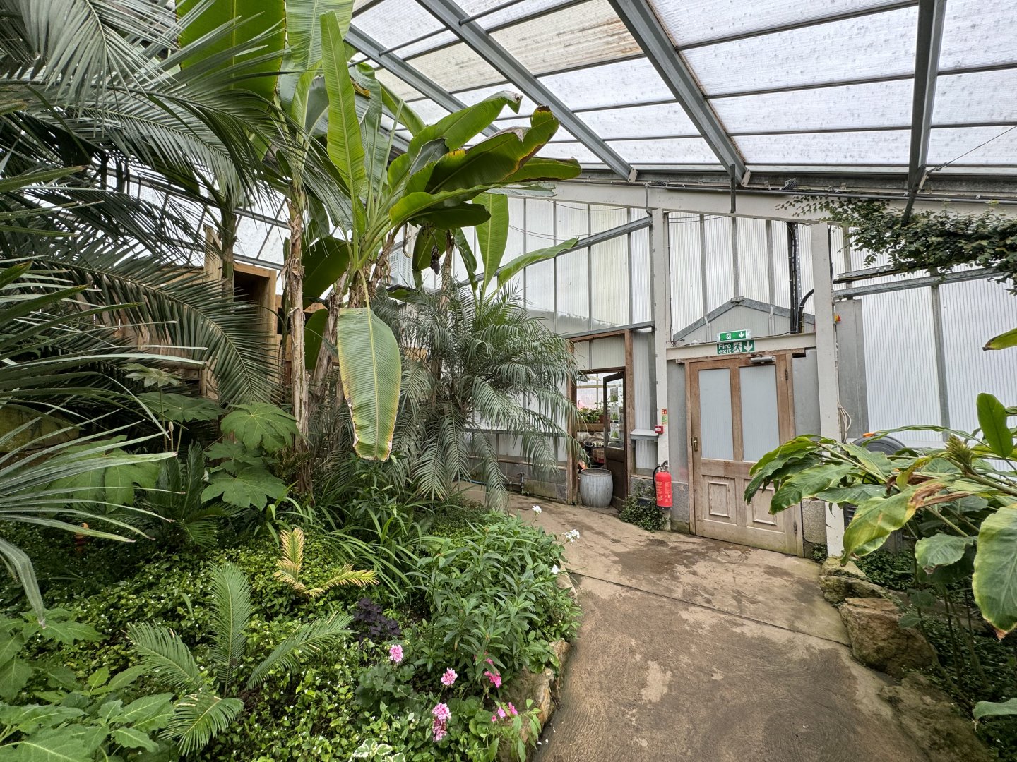 Tropical House at Woodside Wildlife Park (May 2024)