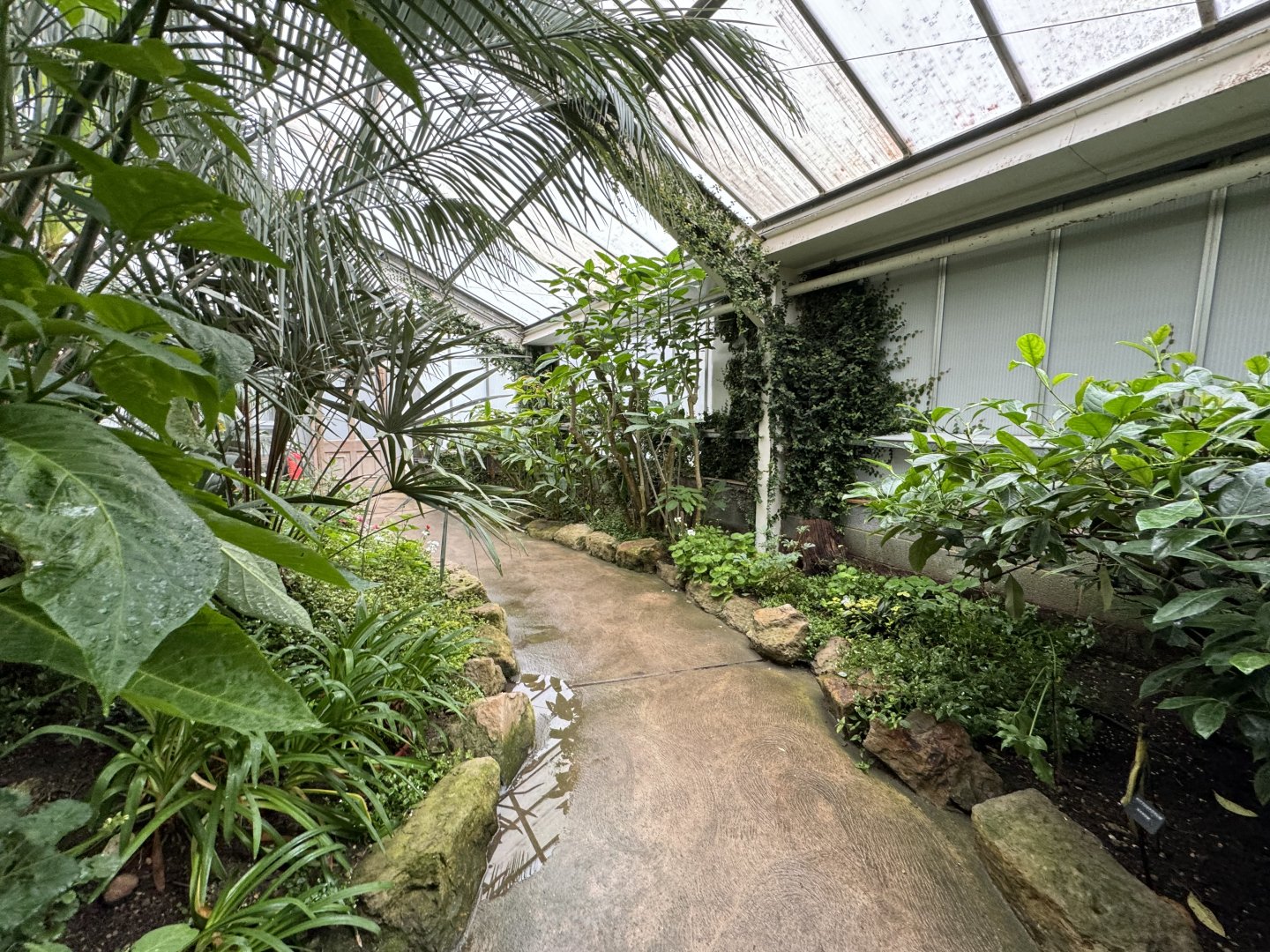 Tropical House at Woodside Wildlife Park (May 2024)