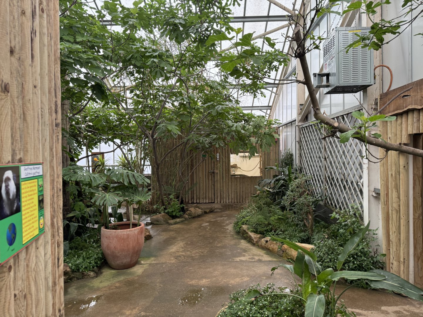 Tropical House at Woodside Wildlife Park (May 2024)