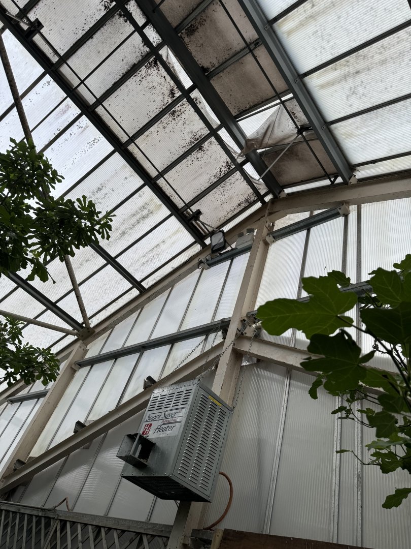 Tropical House at Woodside Wildlife Park (May 2024)