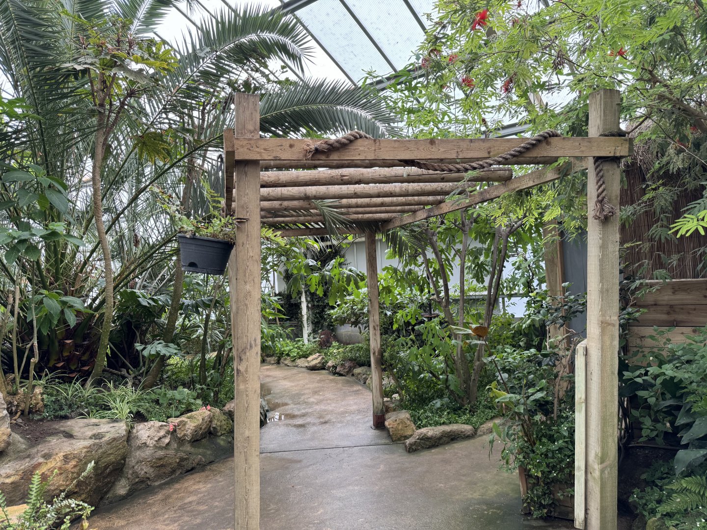 Tropical House at Woodside Wildlife Park (May 2024)