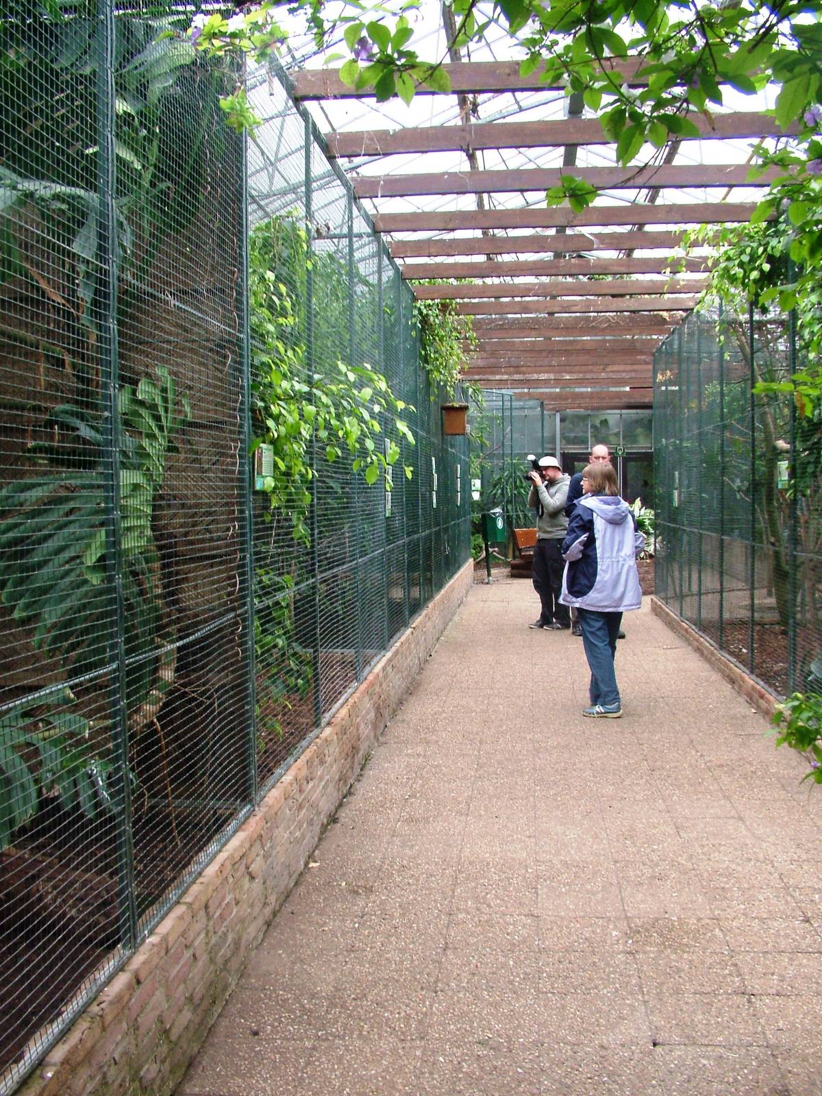 Tropical House Aviaries at Avifauna, 04/06/12