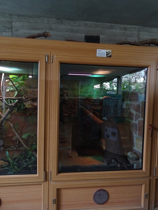 Tropical House - ball python terrarium