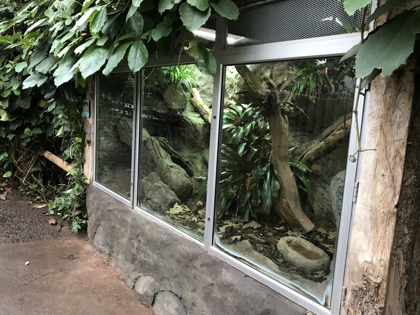 Tropical House - Beaded lizard exhibit 050119