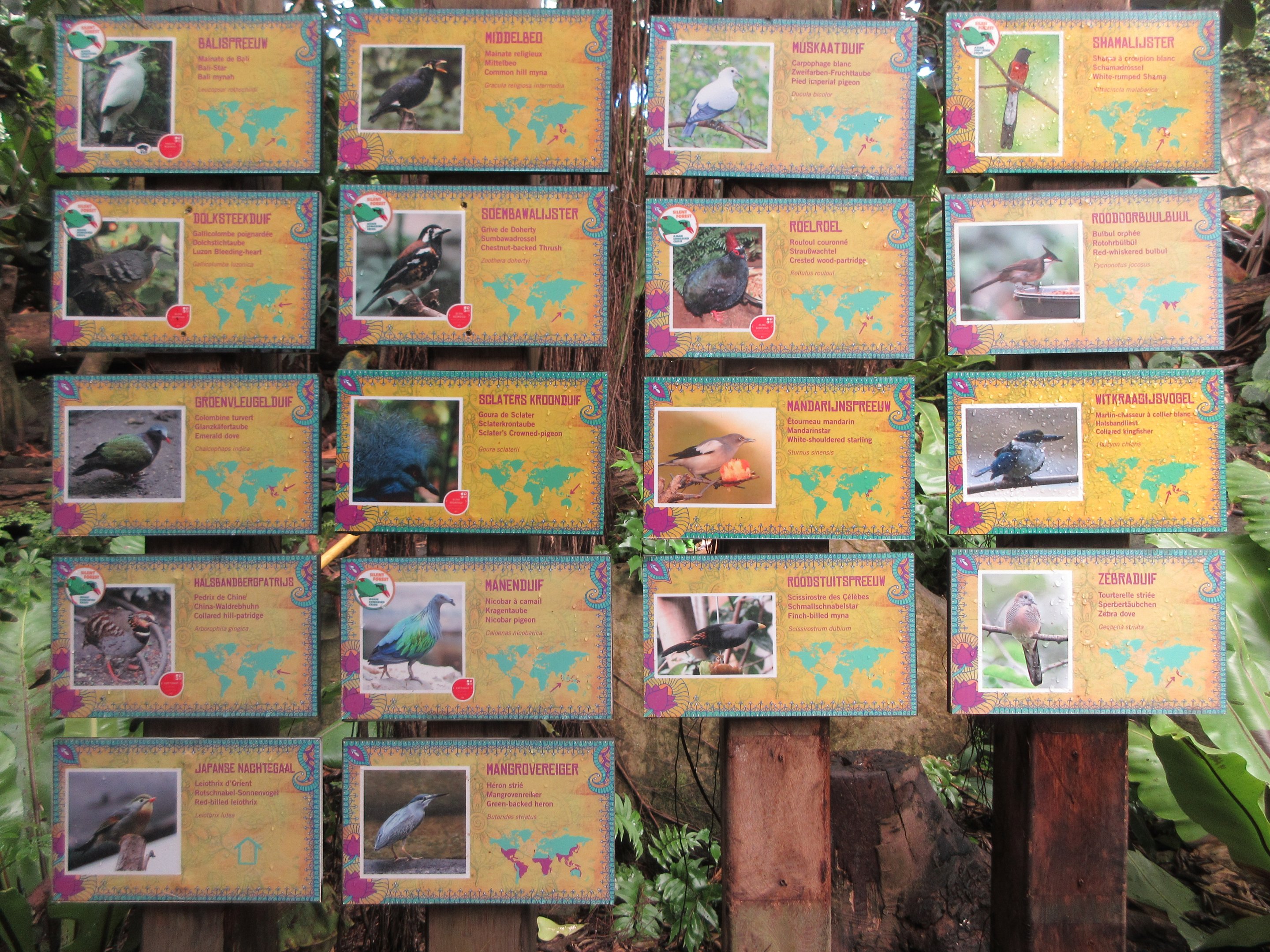 Tropical House - Bird Species List