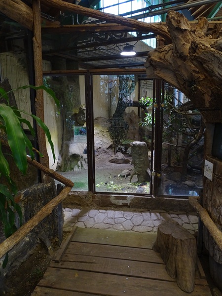 Tropical house: Bobwhite and tortoise enclosure