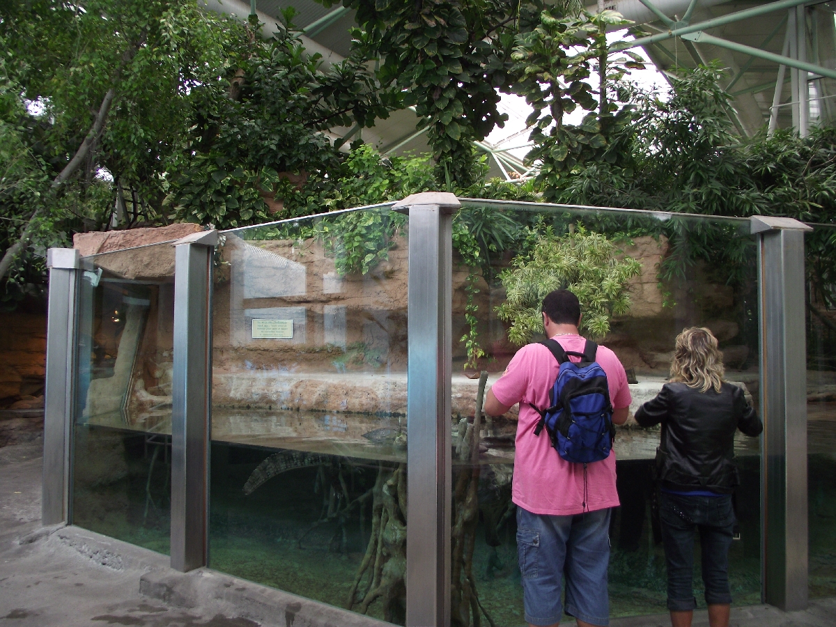 Tropical House Caiman Pool
