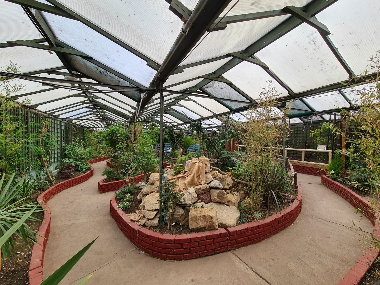 Tropical house, Call of the Wild