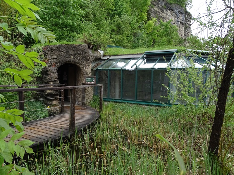 Tropical House (closed and under construction)