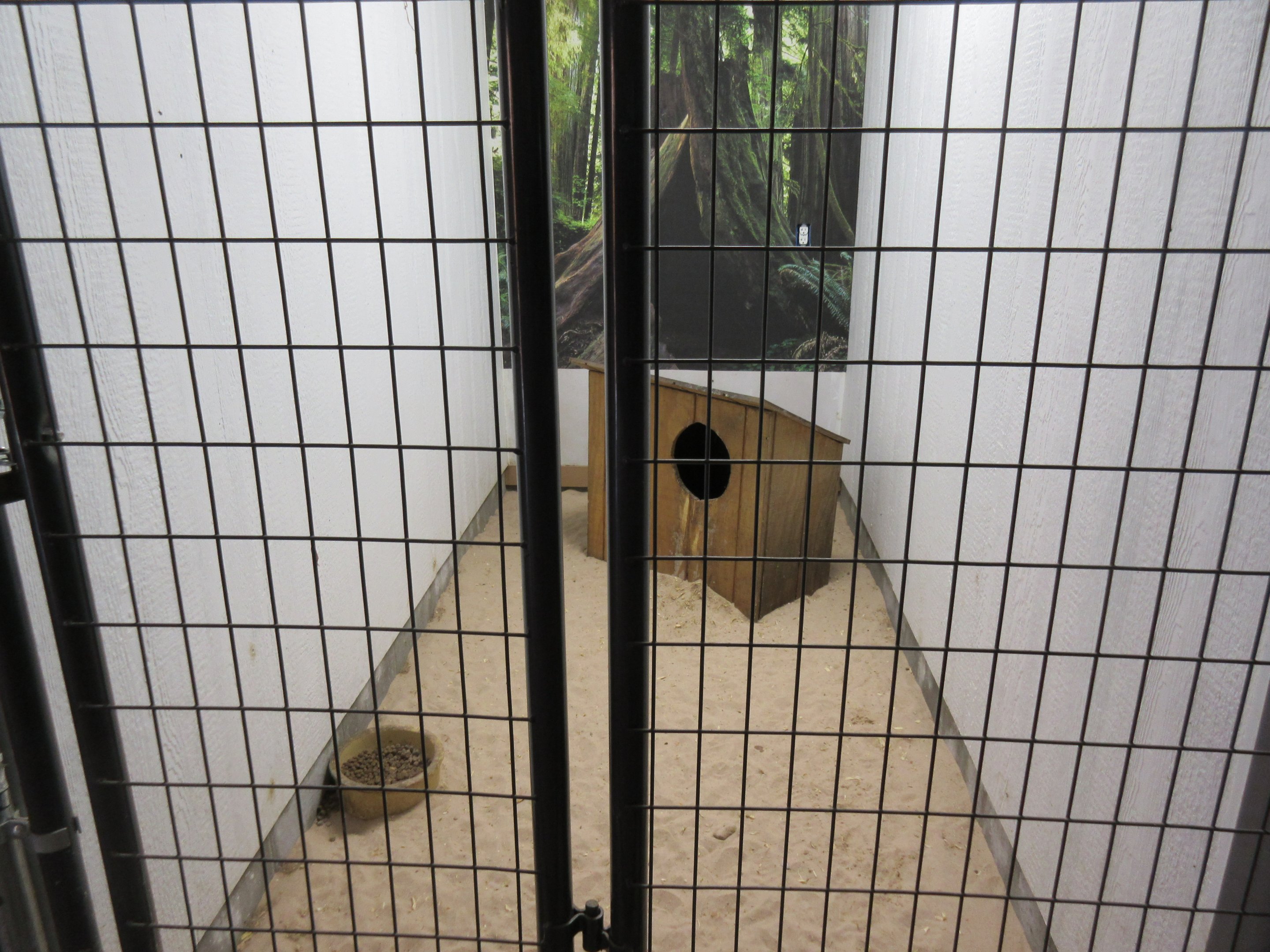 Tropical House - Coati Exhibit (the entire exhibit!)