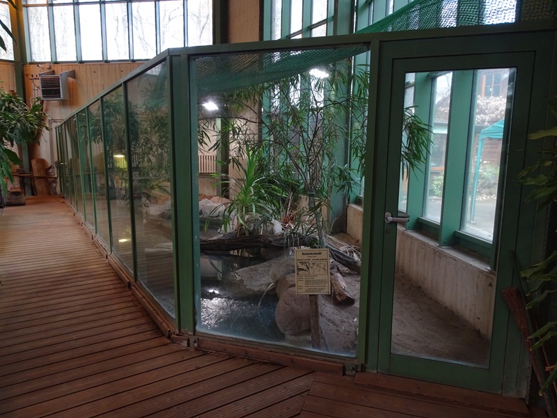 Tropical house: crocodile enclosure