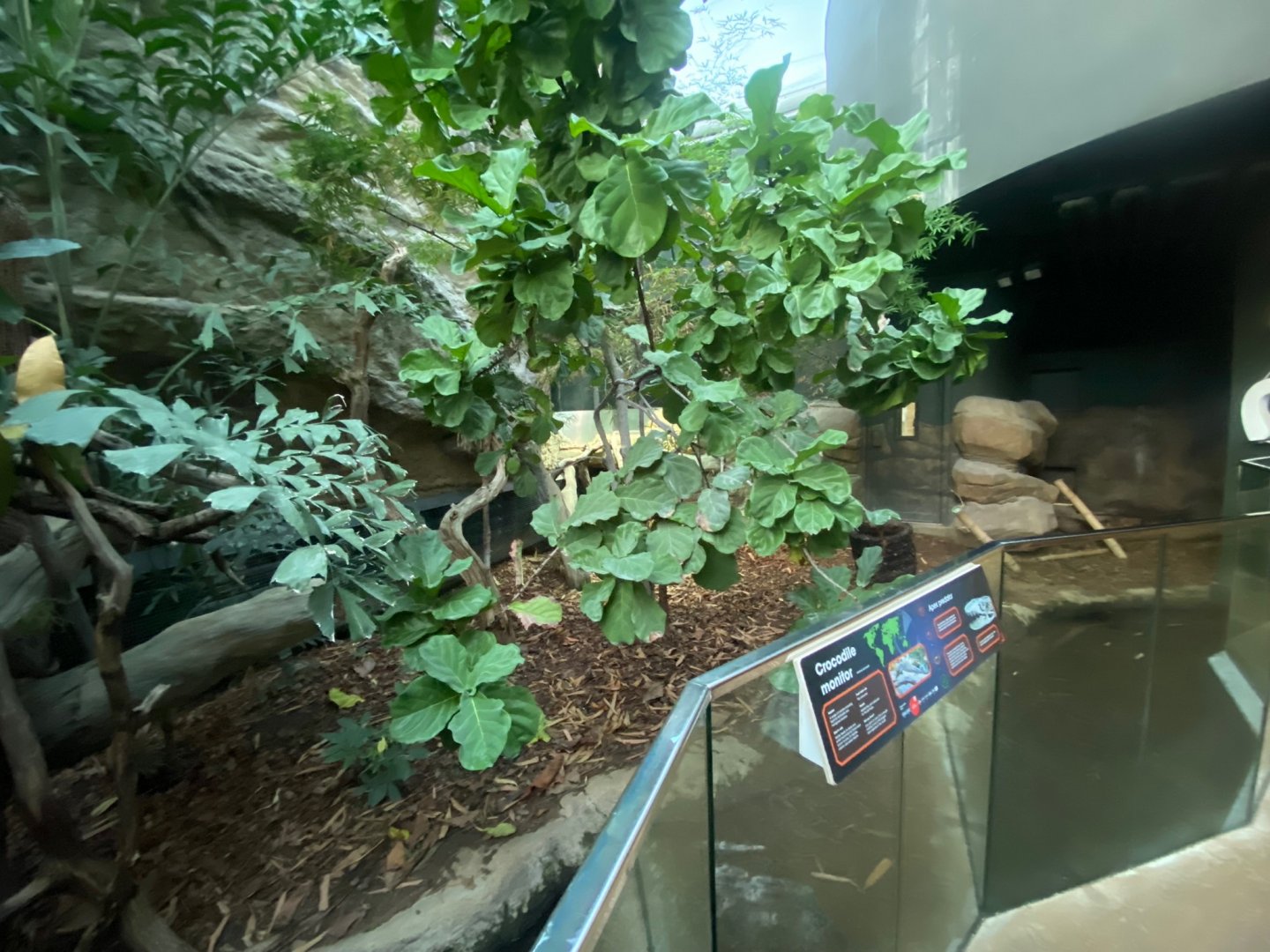 Tropical House - Crocodile monitor enclosure 121223