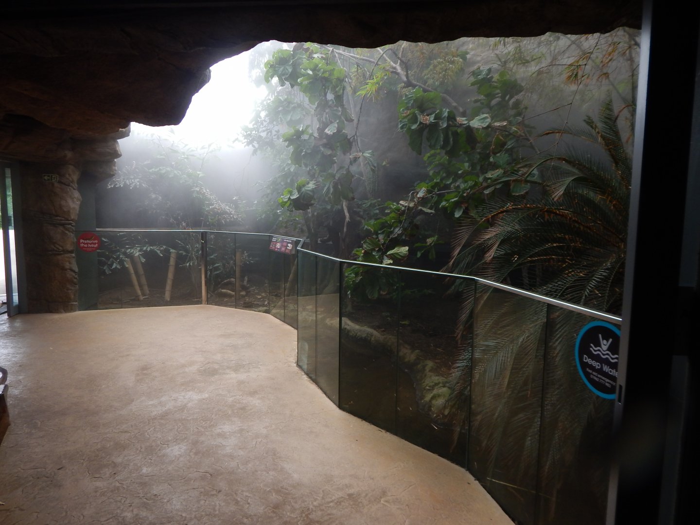 Tropical House - Crocodile monitor exhibit 040822