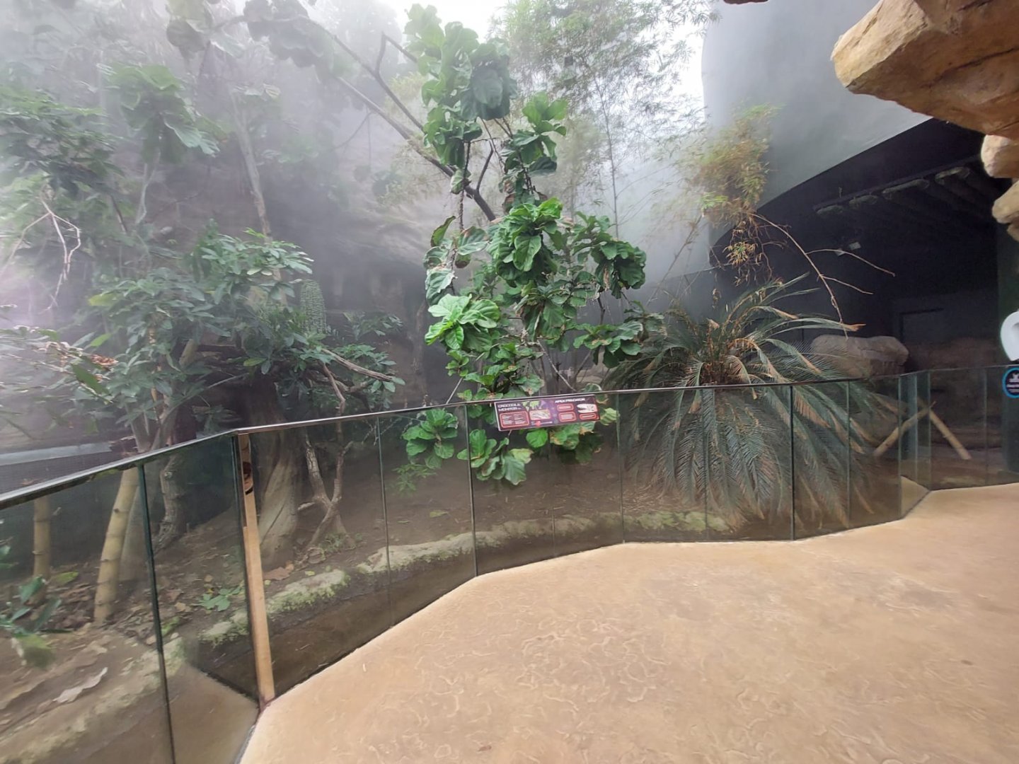 Tropical House - Crocodile monitor exhibit 040822