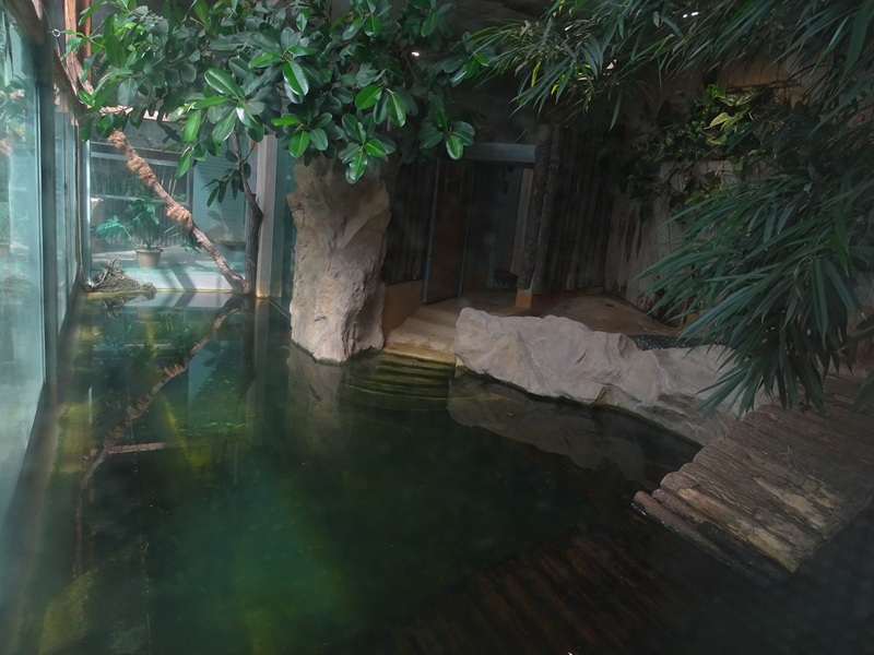 Tropical House - Cuban crocodile enclosure