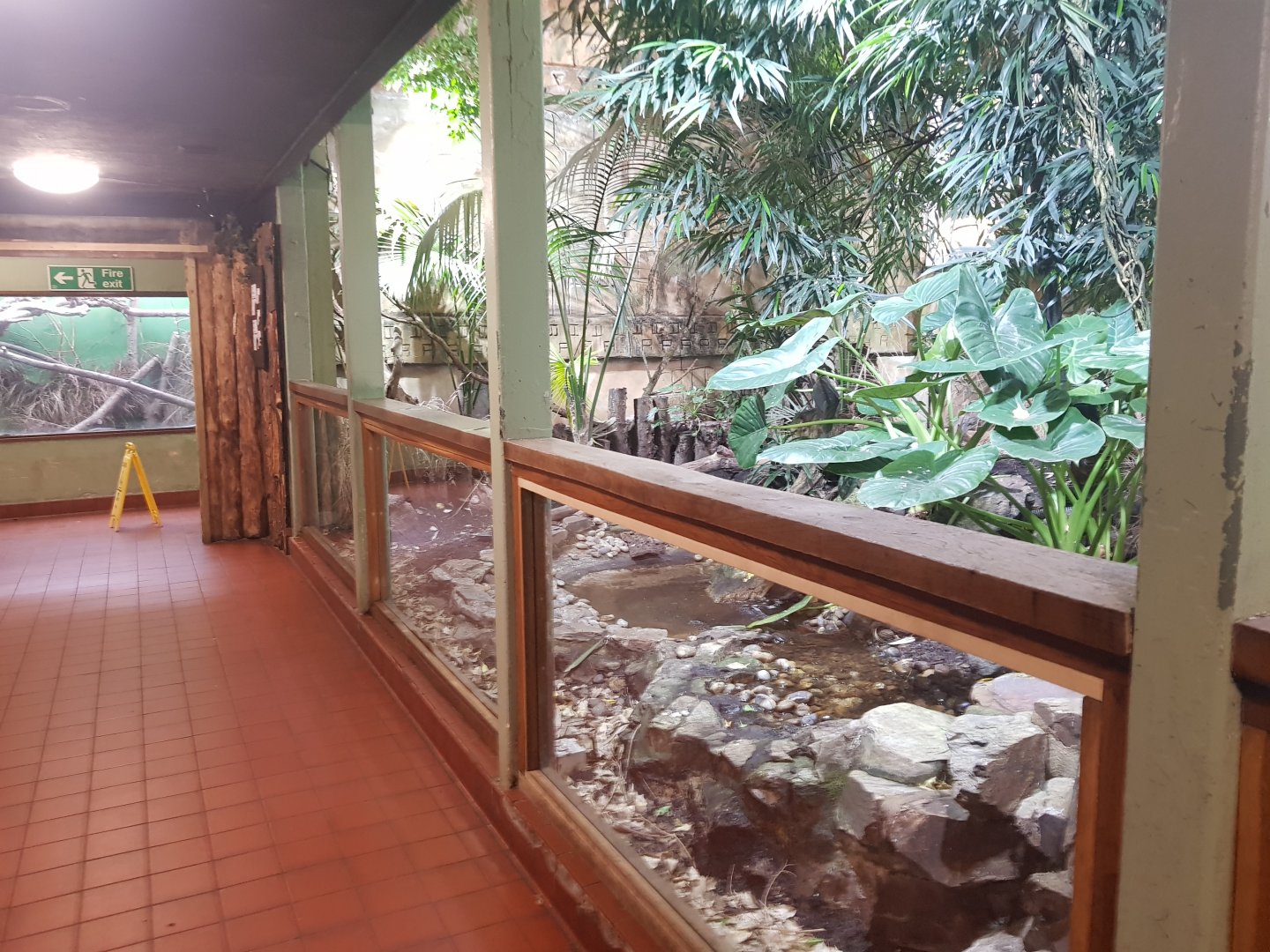 Tropical House Downstairs Interior