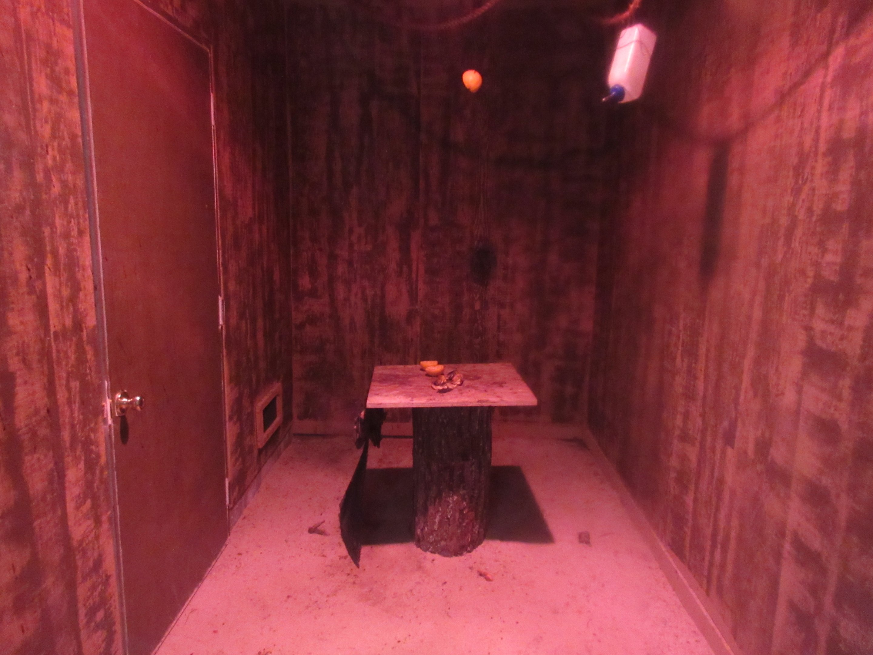 Tropical House - Egyptian Fruit Bat Exhibit