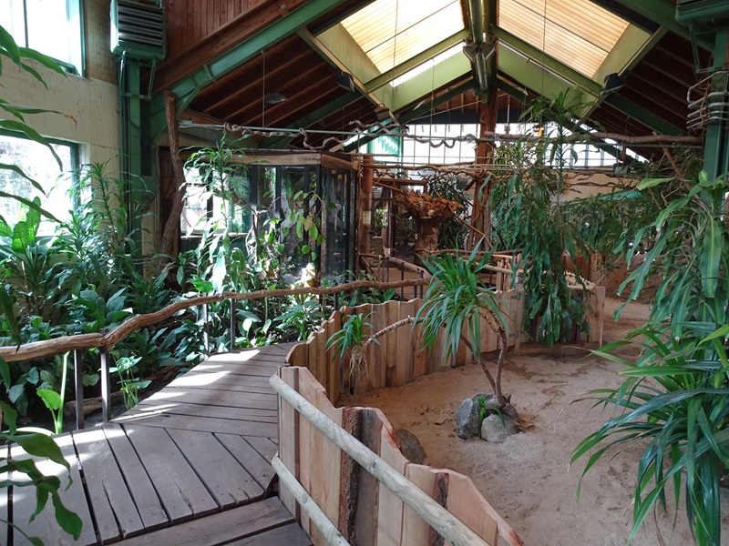 Tropical House; empty tortoise enclosure