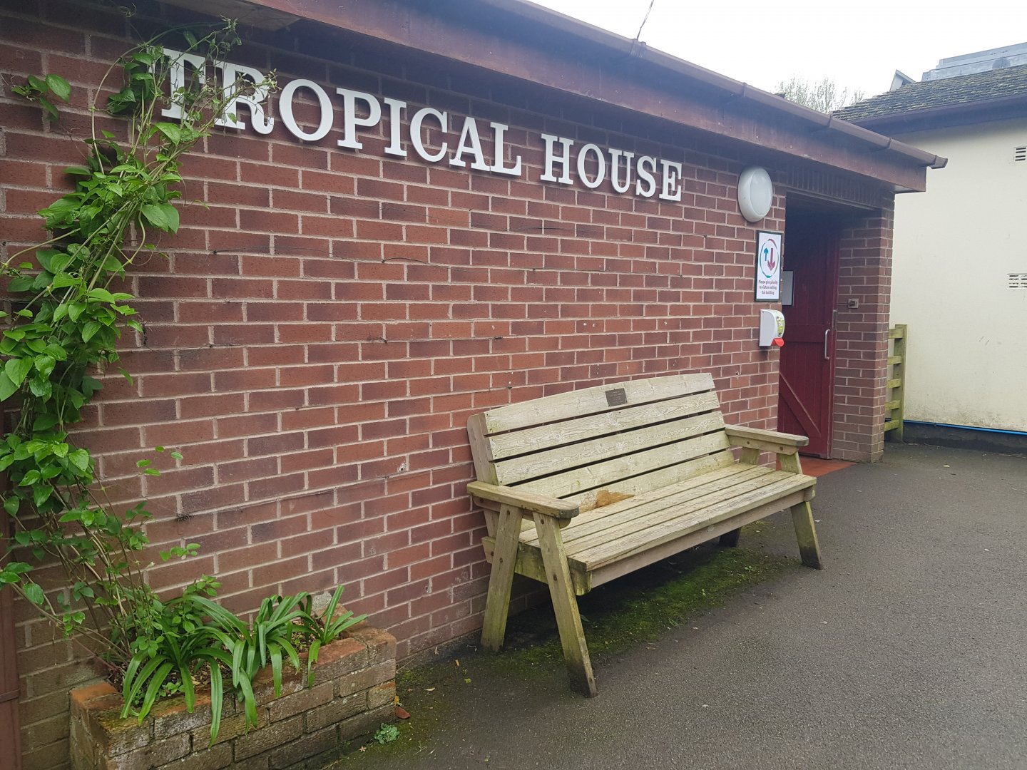 Tropical House Entrance