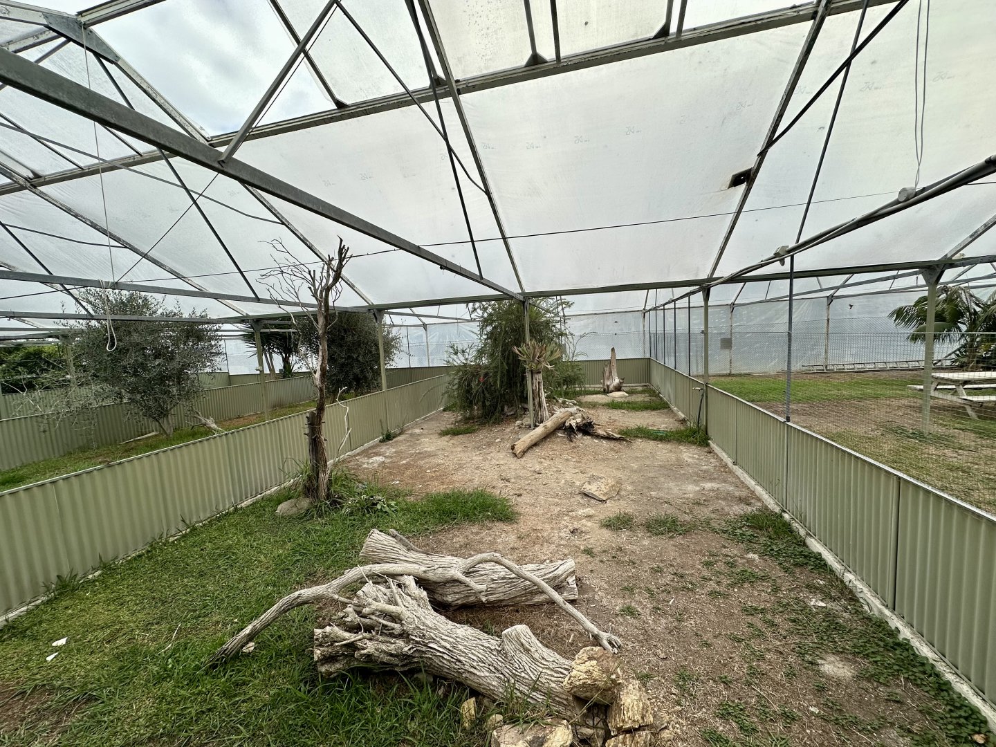 Tropical House - Exhibit 1 (Leopard Tortoise)