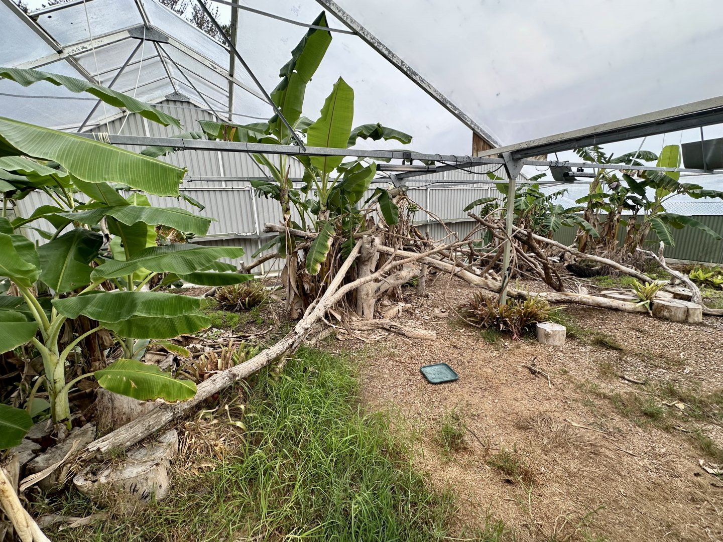 Tropical House - Exhibit 5 (Empty)