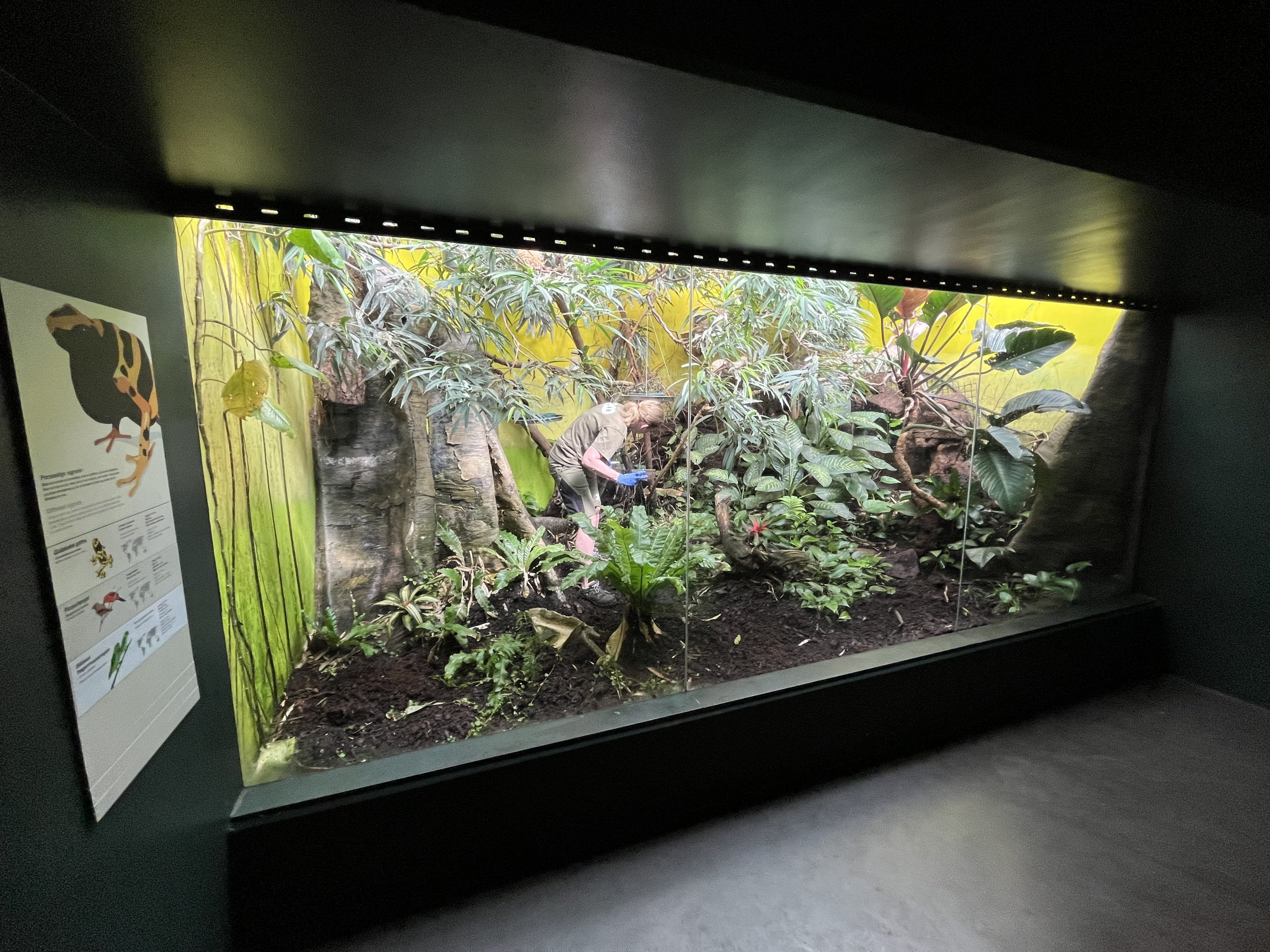 Tropical House Exhibit