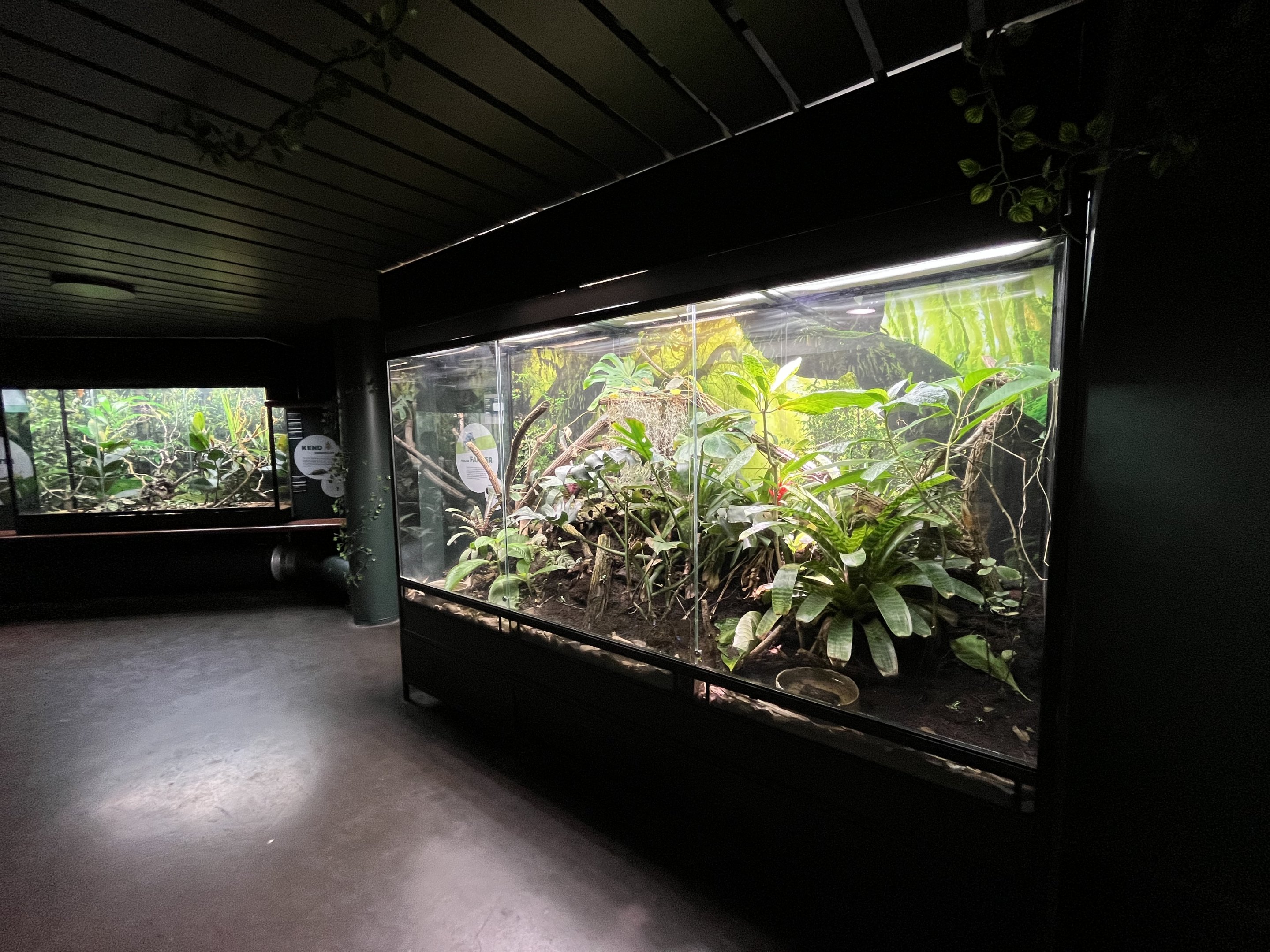 Tropical House Exhibit