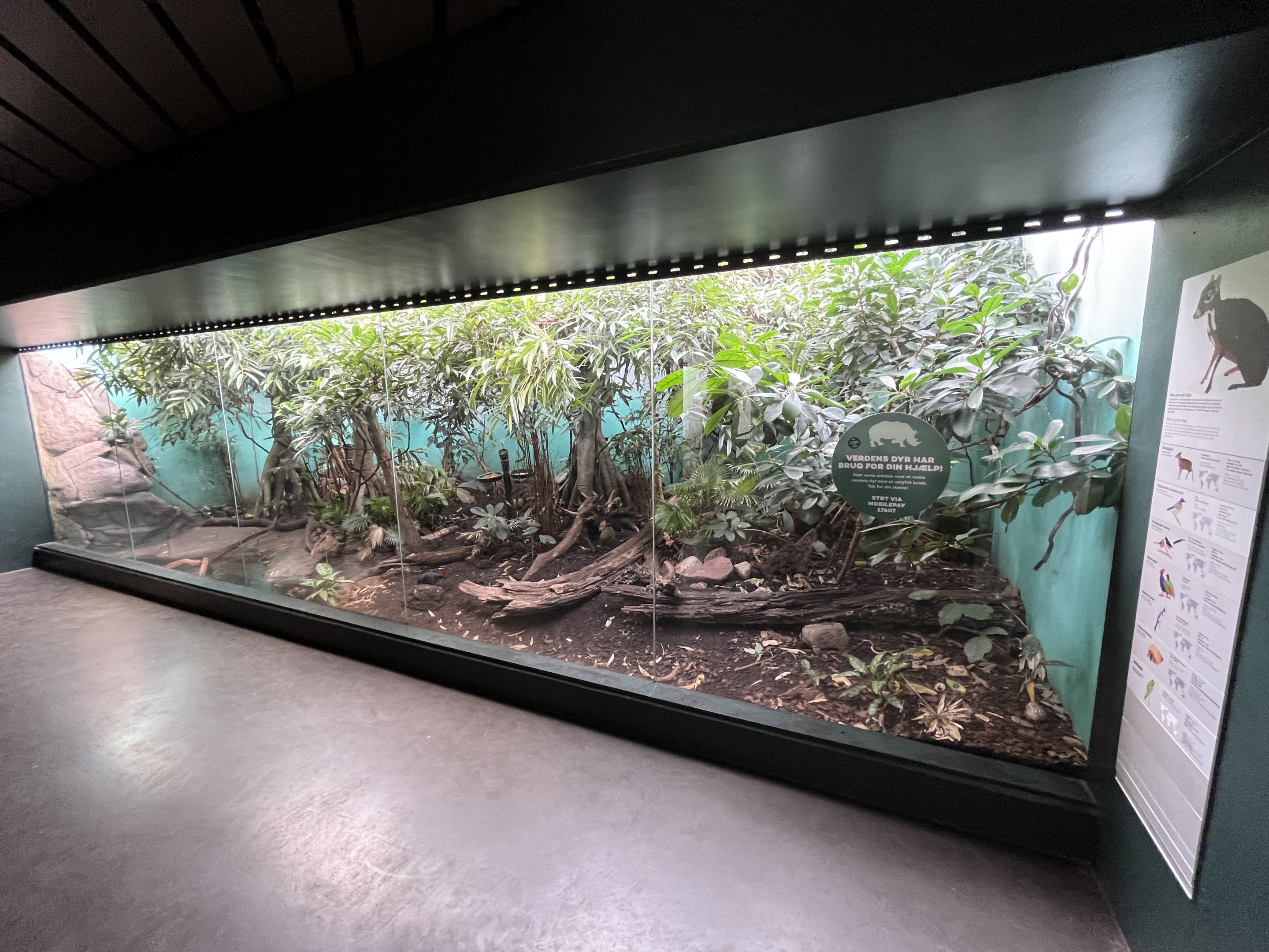 Tropical House Exhibit