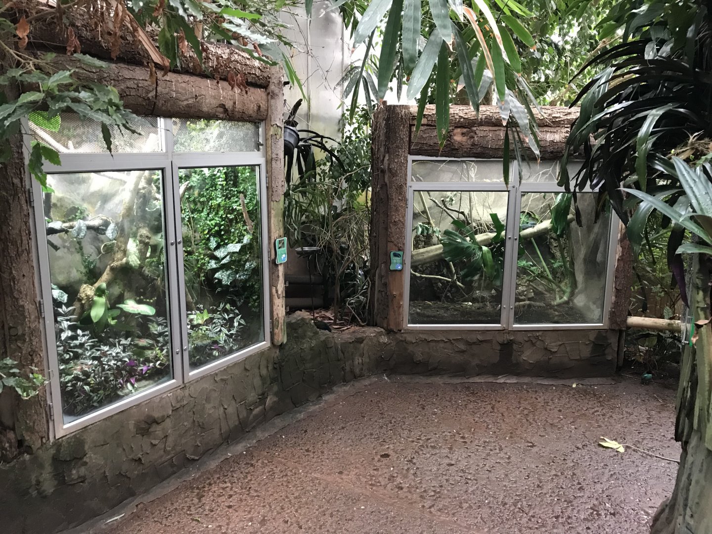 Tropical house exhibits 050119