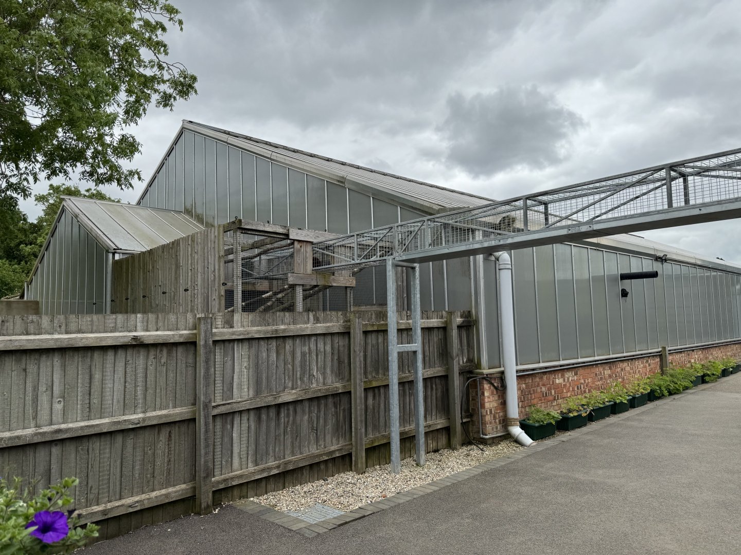 Tropical House Exterior at Woodside Wildlife Park (May 2024)