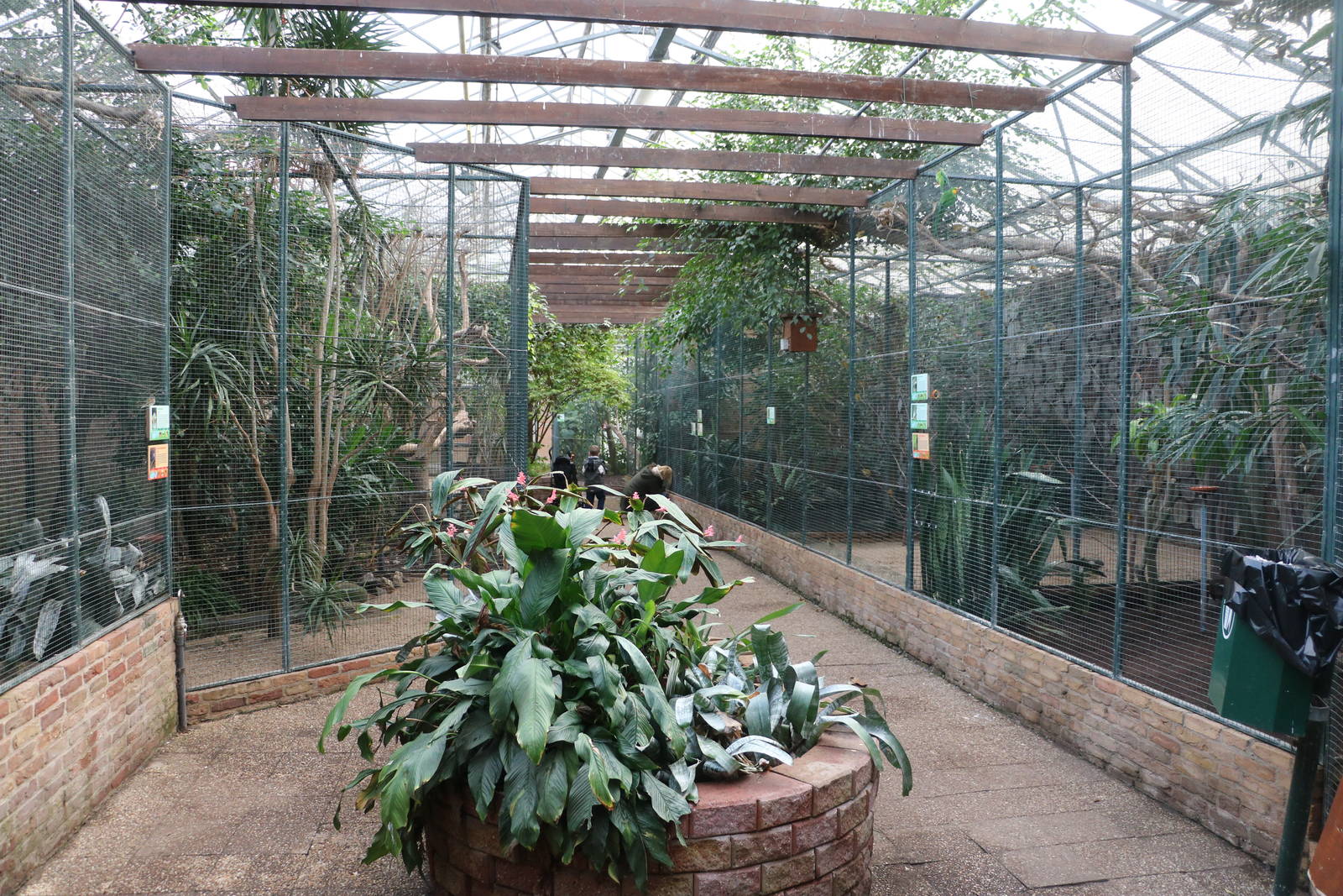 Tropical house, February 2016