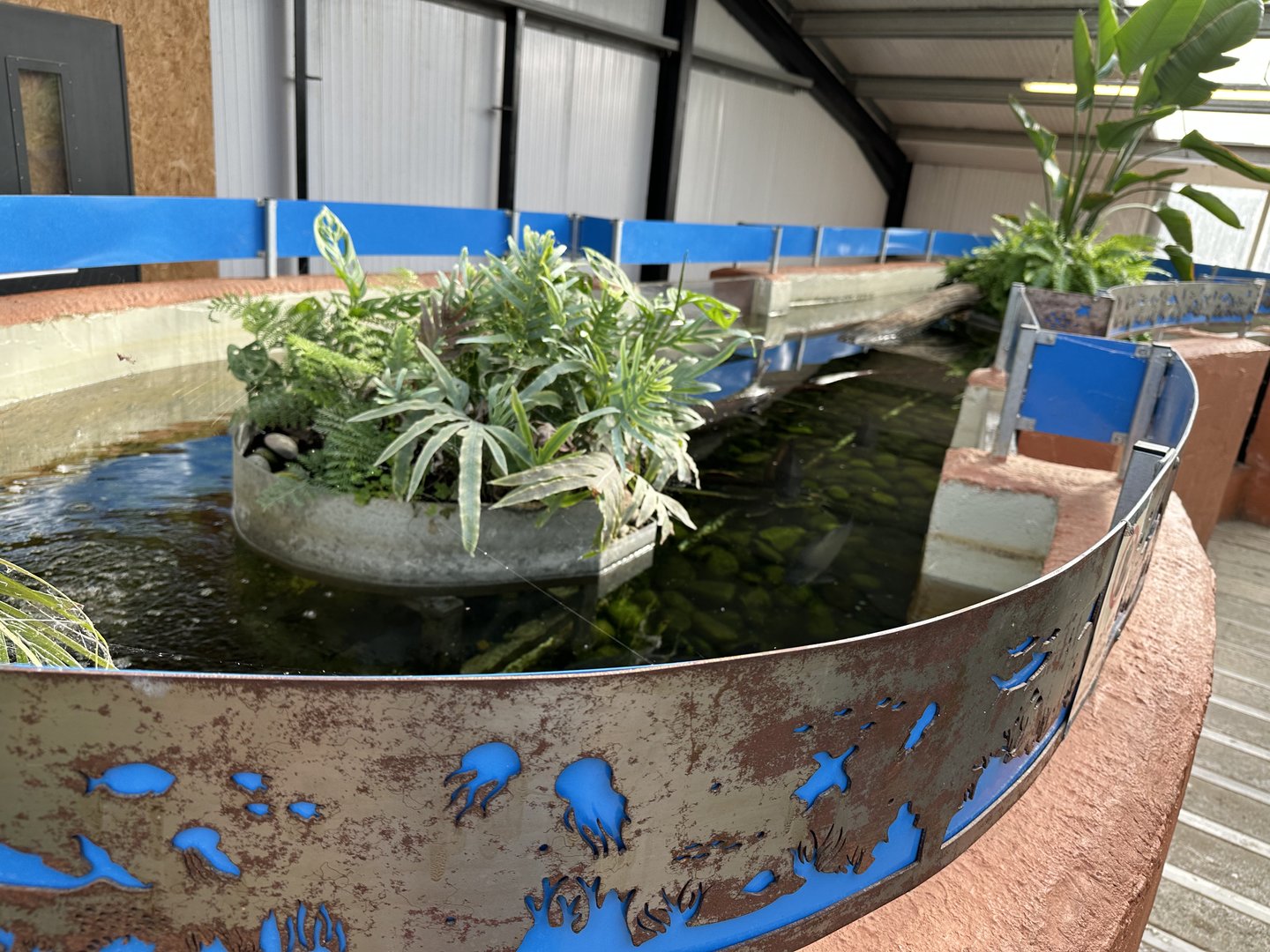 Tropical House Fish Tank at Johnsons of Old Hurst (October 2023)